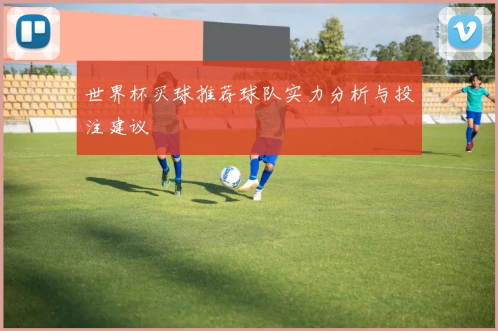 世界杯买球推荐球队实力分析与投注建议