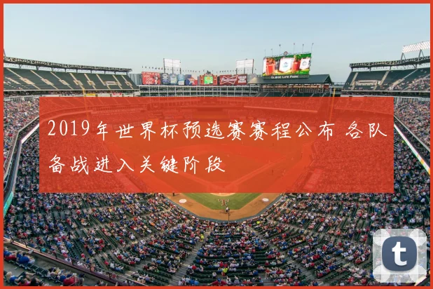2019年世界杯预选赛赛程公布 各队备战进入关键阶段